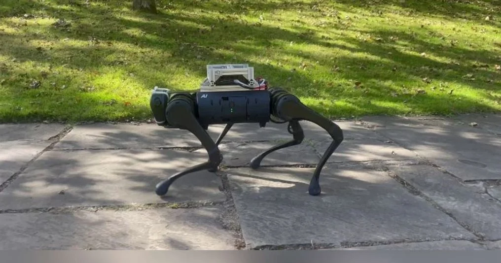 تم تدريب الروبوتات على التنقل في البيئة المحيطة مثل البشر