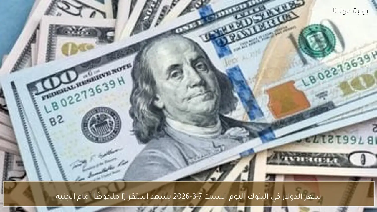 سعر الدولار في البنوك اليوم السبت 7-3-2026 يشهد استقرارًا ملحوظًا أمام الجنيه