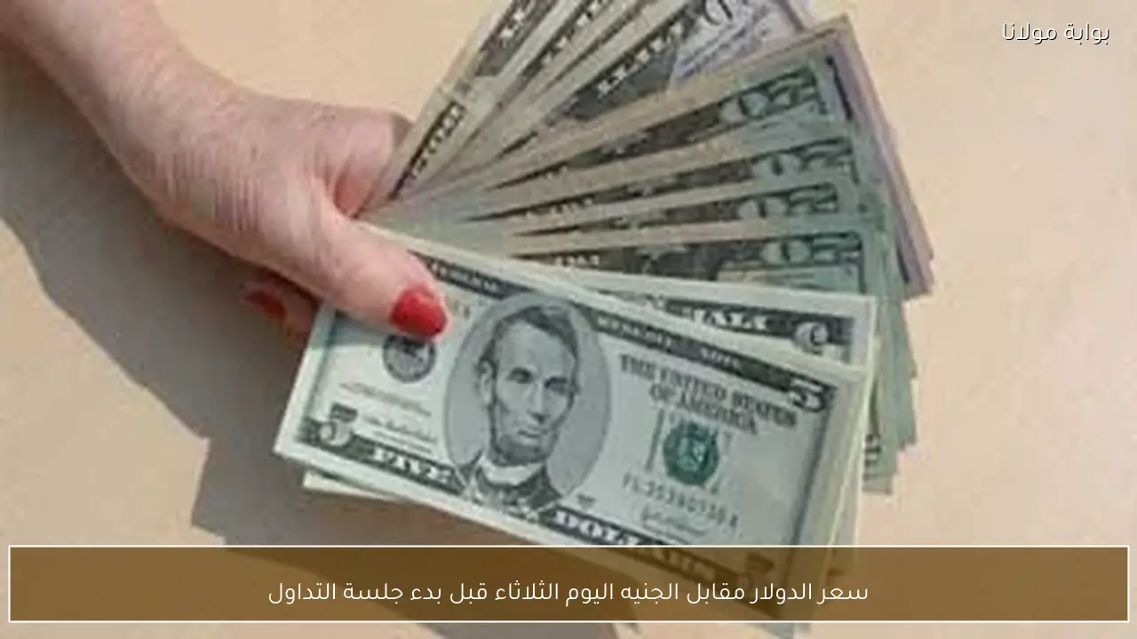 سعر الدولار مقابل الجنيه اليوم الثلاثاء قبل بدء جلسة التداول