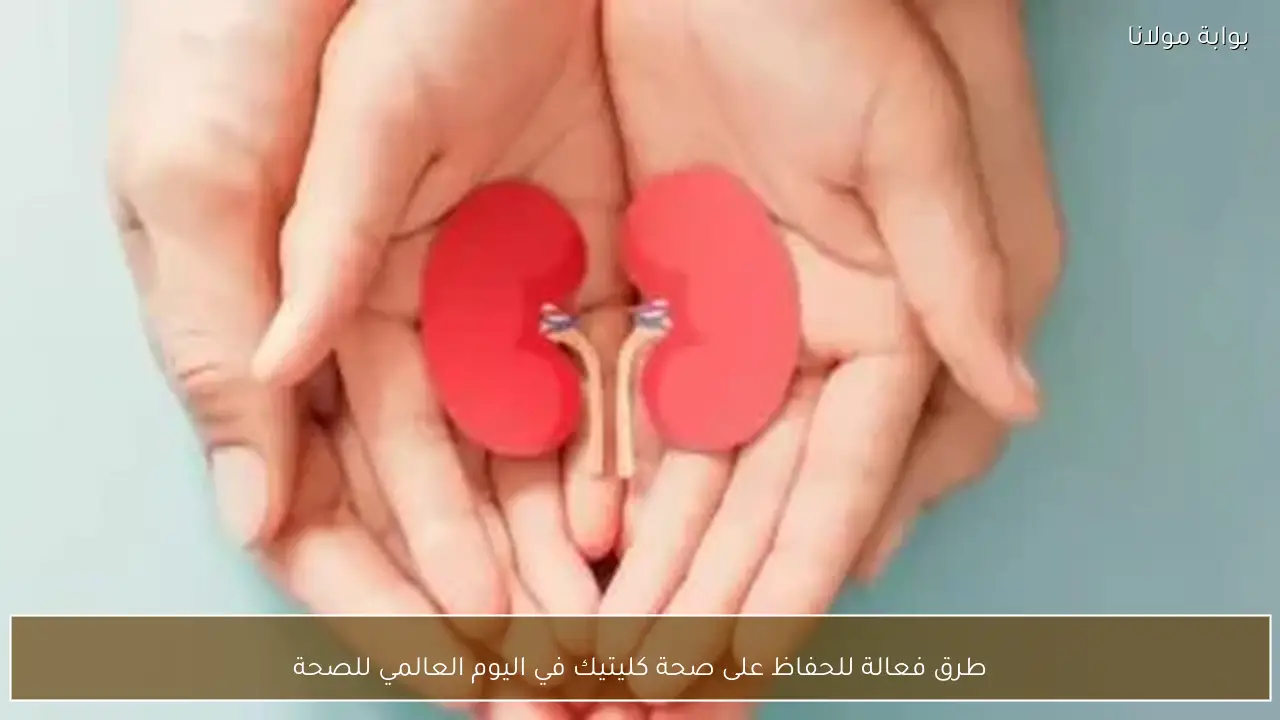 طرق فعالة للحفاظ على صحة كليتيك في اليوم العالمي للصحة