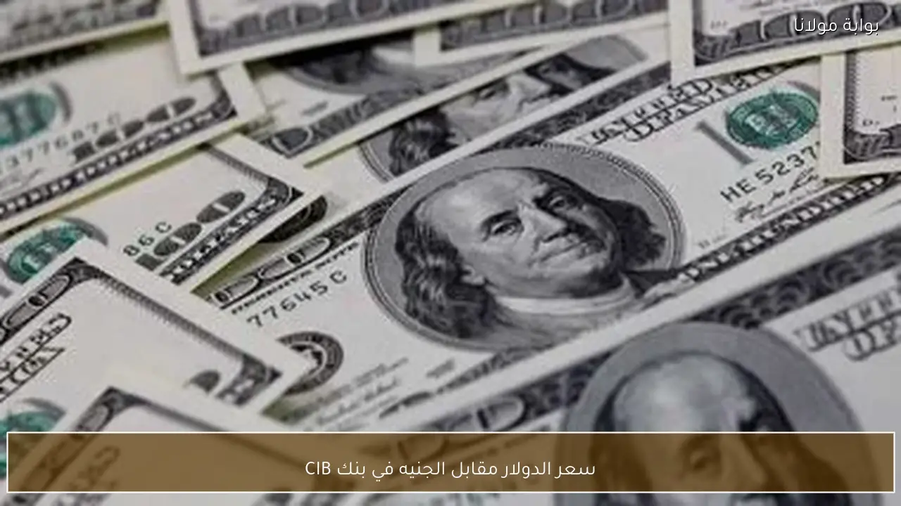 سعر الدولار مقابل الجنيه في بنك CIB