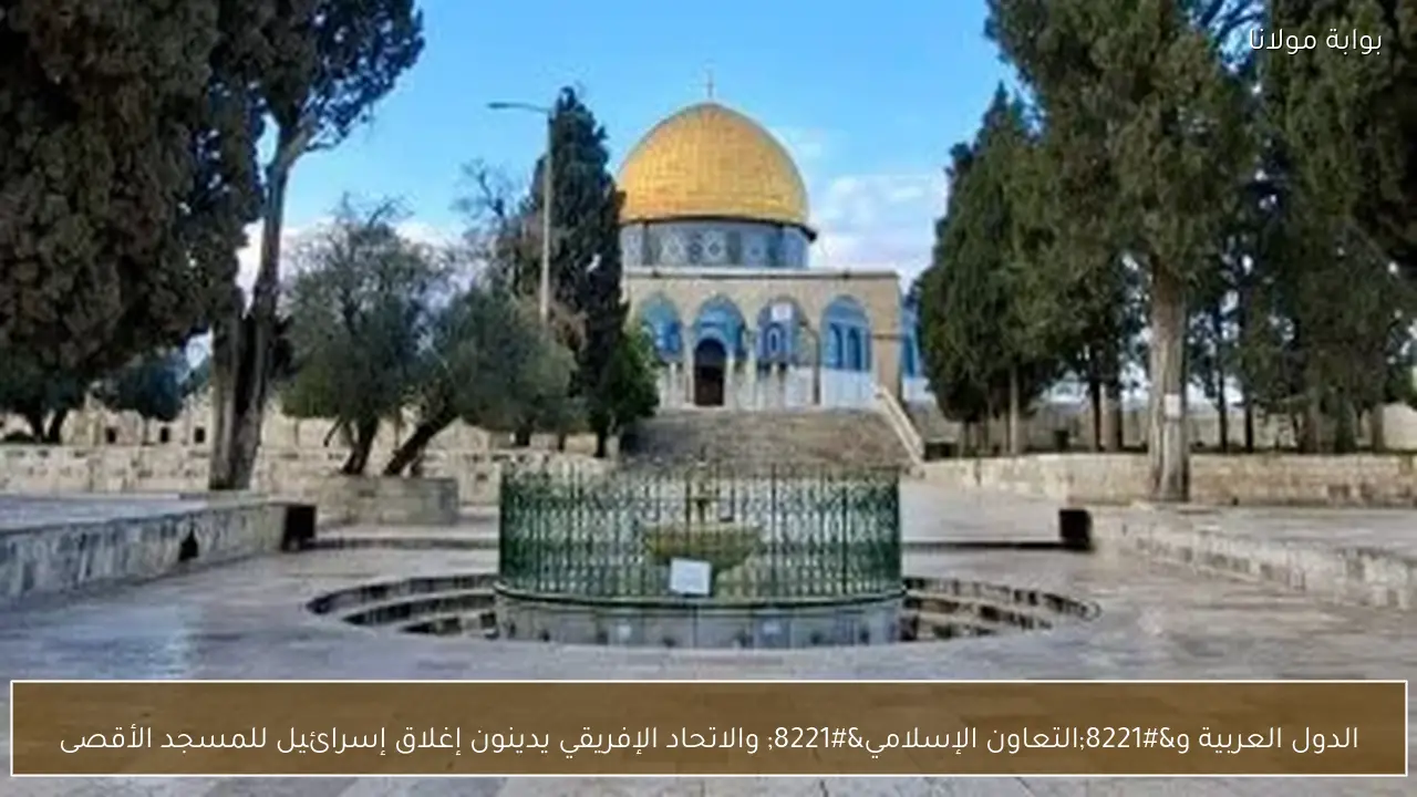 الدول العربية و”التعاون الإسلامي” والاتحاد الإفريقي يدينون إغلاق إسرائيل للمسجد الأقصى