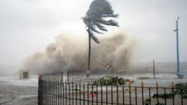 الأمطار الغزيرة والرياح القوية تعطل الرحلات الجوية والقطارات والعبارات في نيوزيلندا