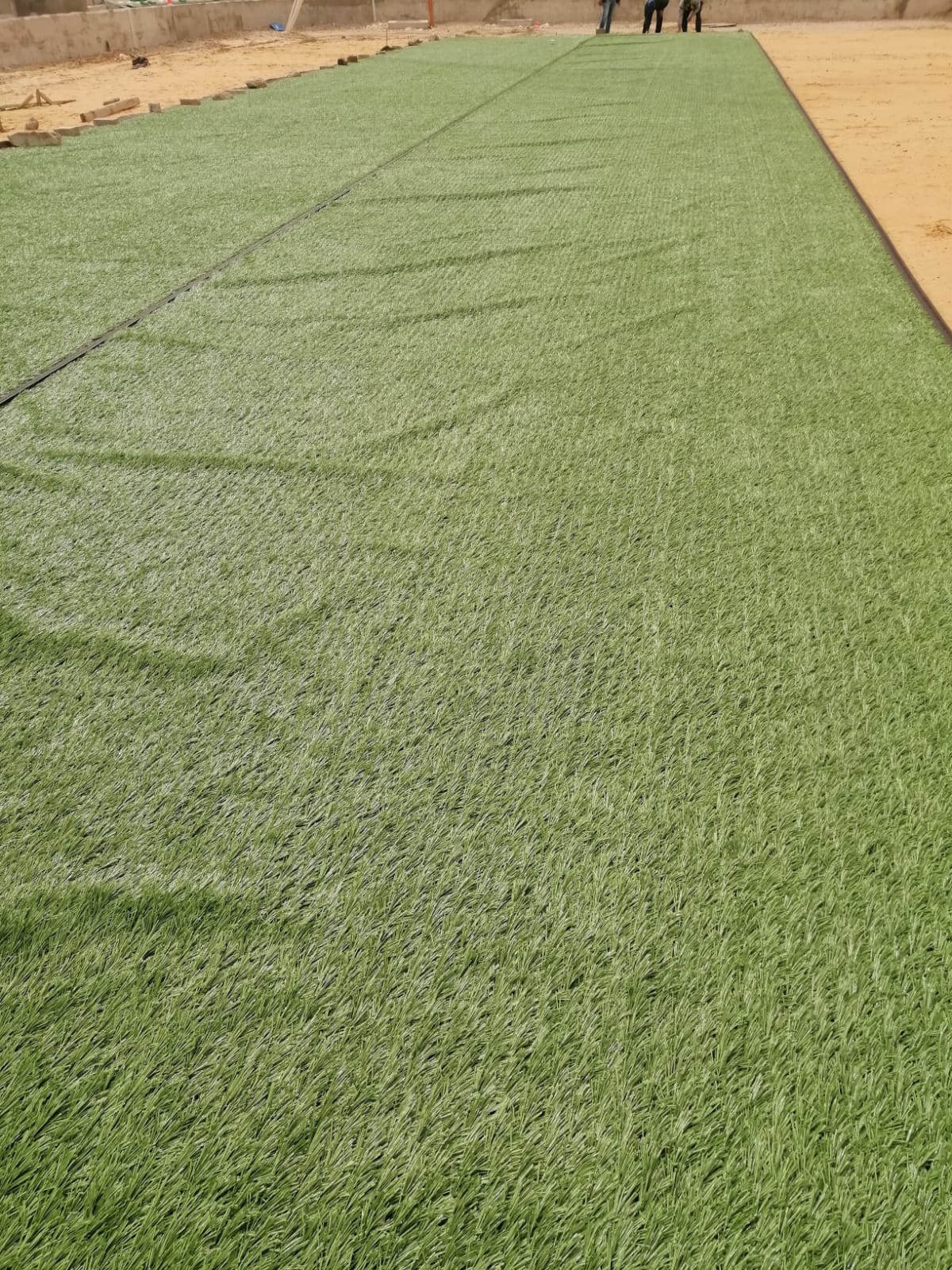 d767795d-0252-42c2-beab-582a6b5f3ede