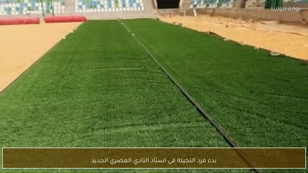 بدء فرد النجيلة في استاد النادي المصري الجديد