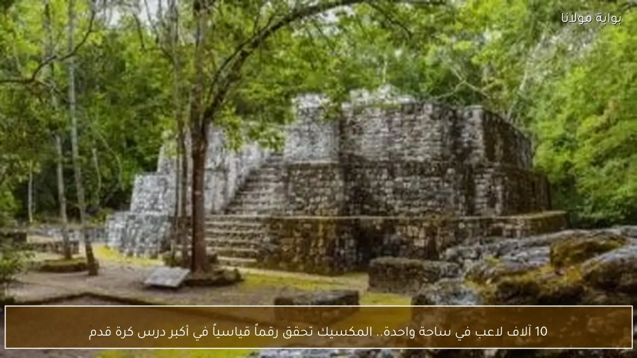 10 آلاف لاعب في ساحة واحدة.. المكسيك تحقق رقماً قياسياً في أكبر درس كرة قدم