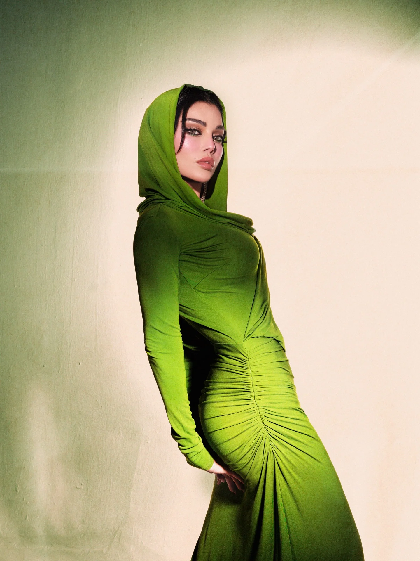 الفنانة هيفاء وهبي