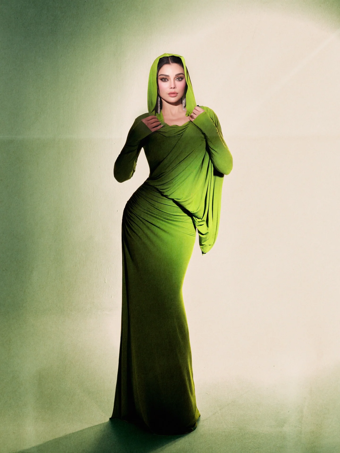 صورة هيفاء وهبي