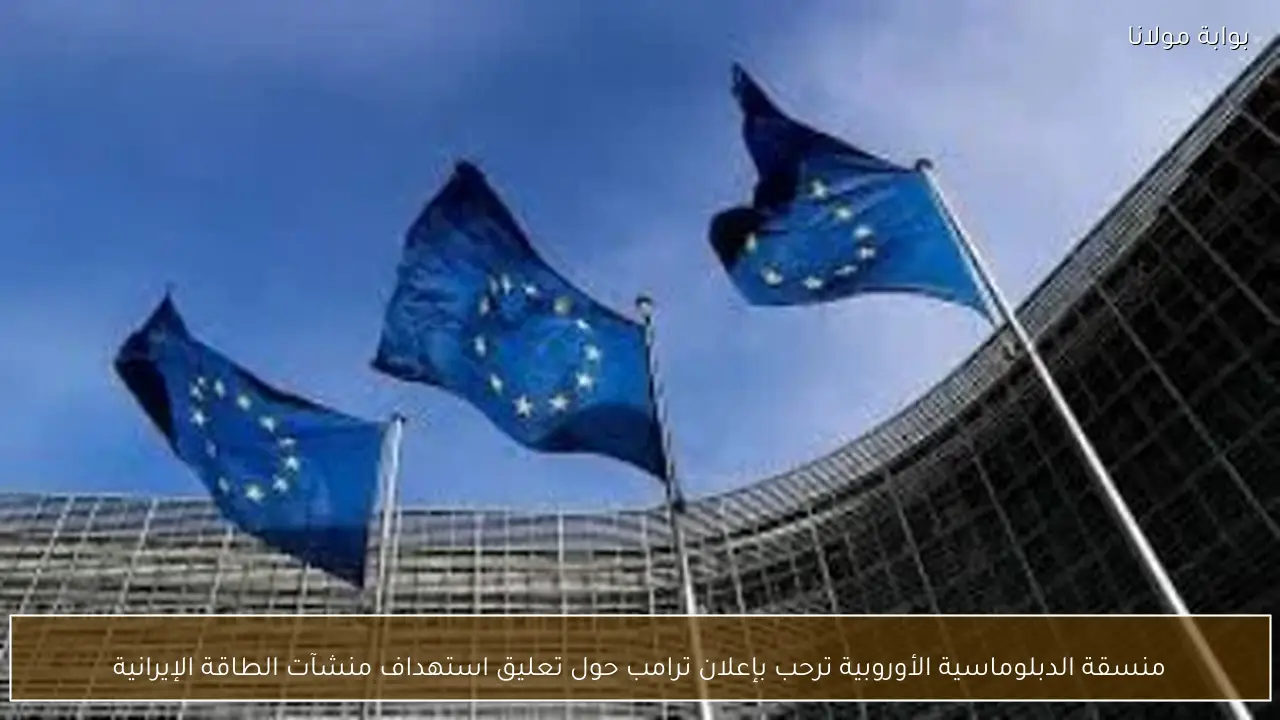 منسقة الدبلوماسية الأوروبية ترحب بإعلان ترامب حول تعليق استهداف منشآت الطاقة الإيرانية