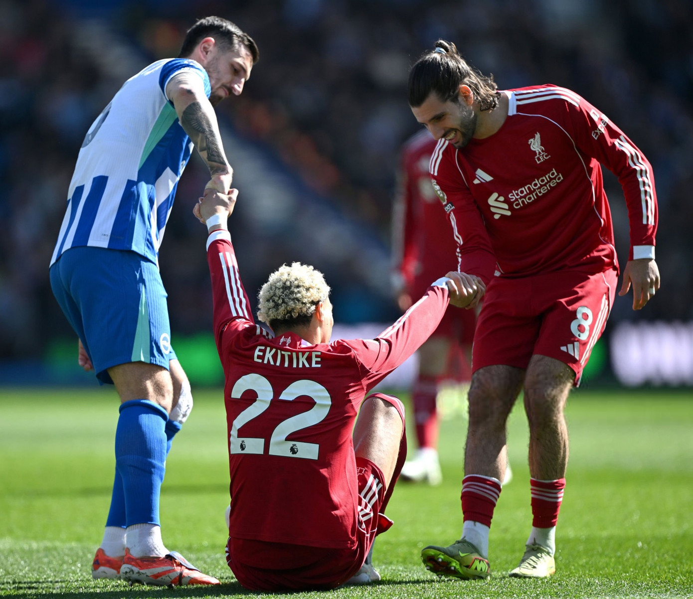 brighton-hove-albion-v-liverpool-premier-league.jpg