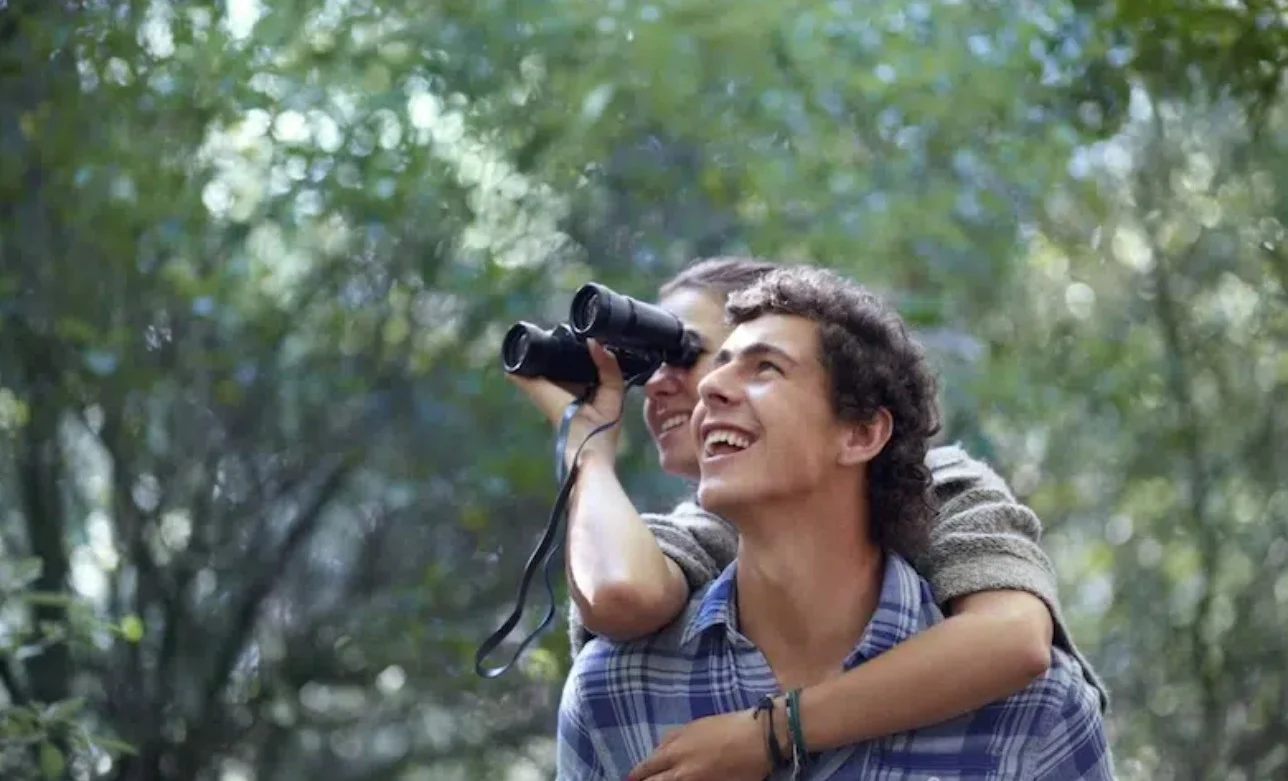 مراقبة الطيور ستساعد في تعزيز صحة الدماغ