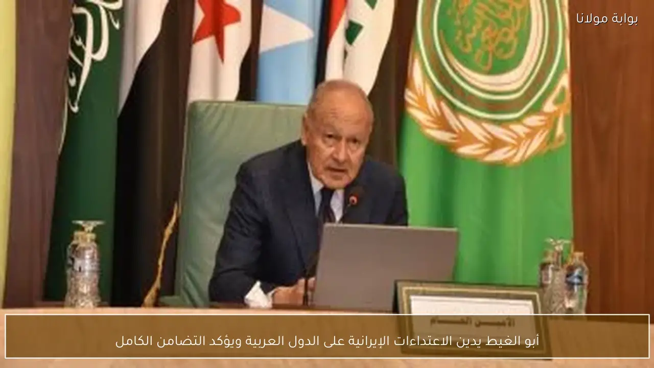 أبو الغيط يدين الاعتداءات الإيرانية على الدول العربية ويؤكد التضامن الكامل