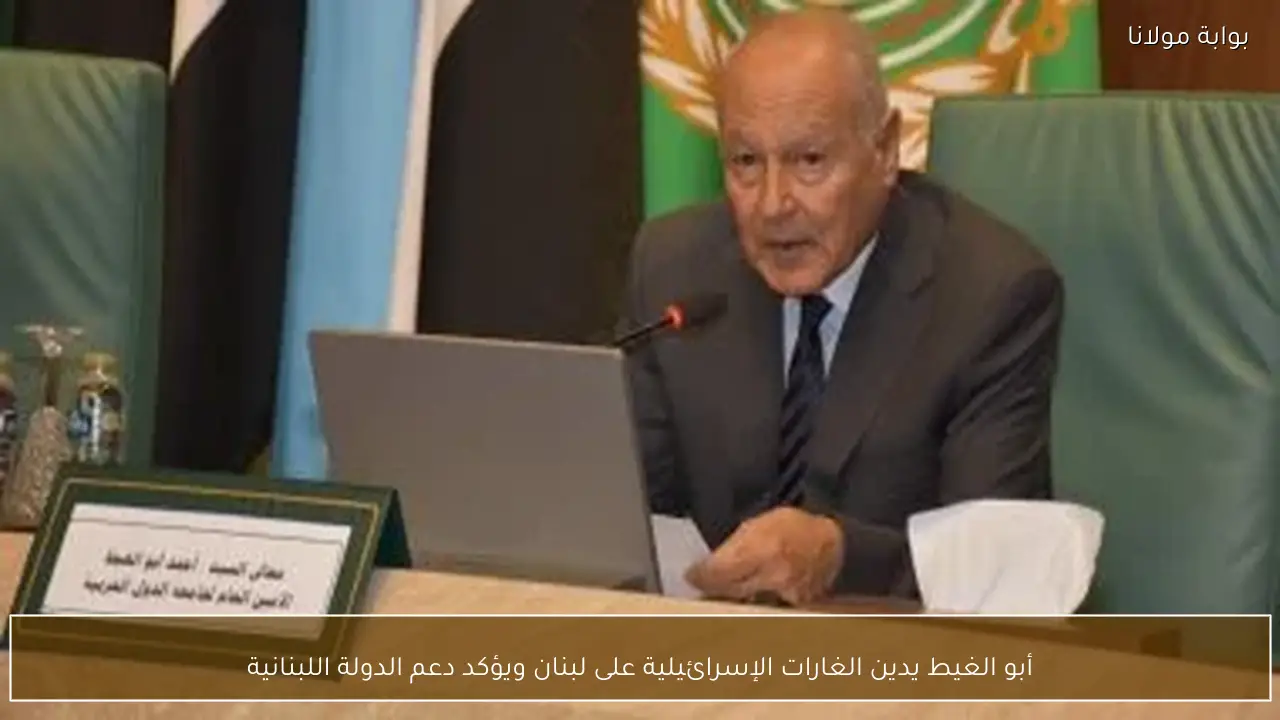 أبو الغيط يدين الغارات الإسرائيلية على لبنان ويؤكد دعم الدولة اللبنانية