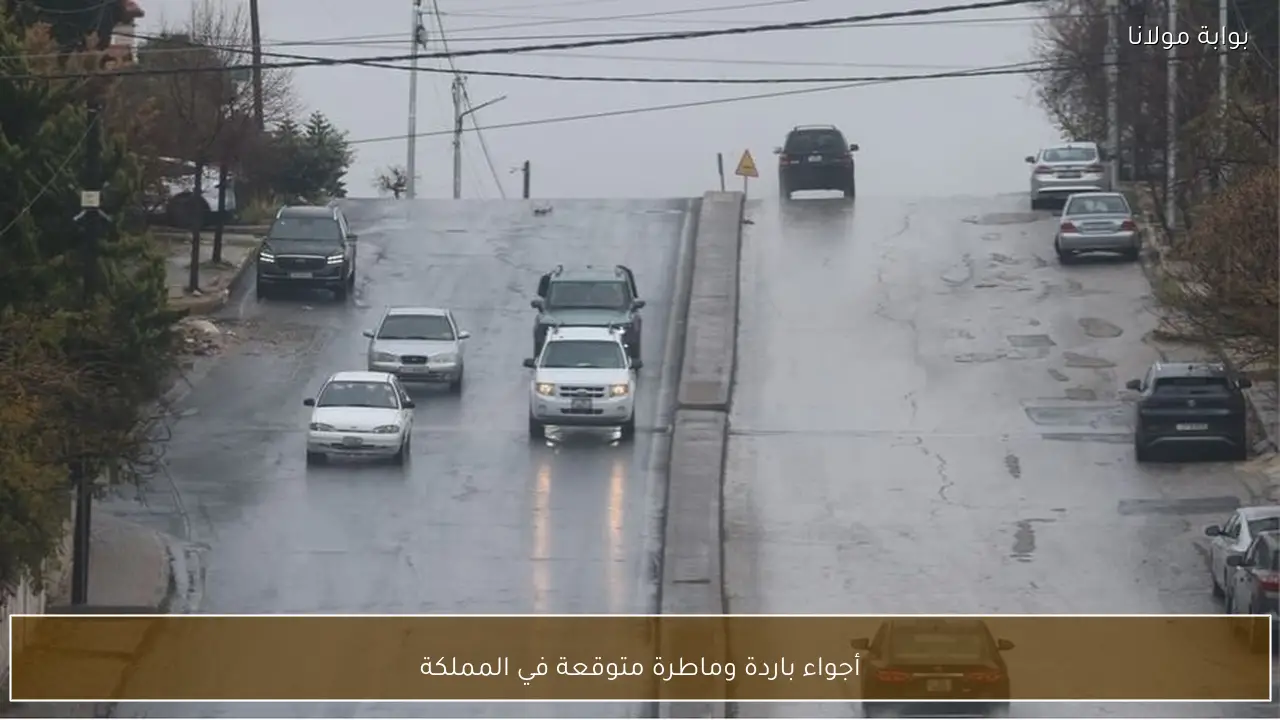 أجواء باردة وماطرة متوقعة في المملكة