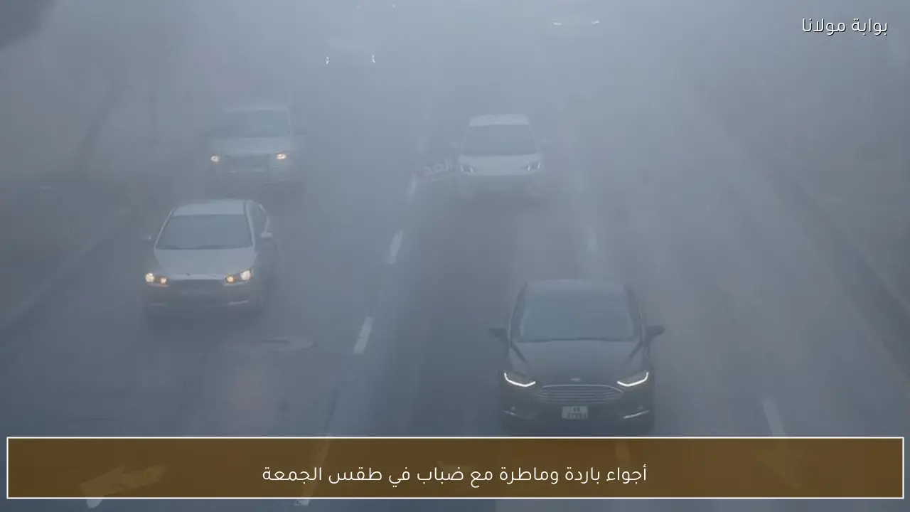 أجواء باردة وماطرة مع ضباب في طقس الجمعة