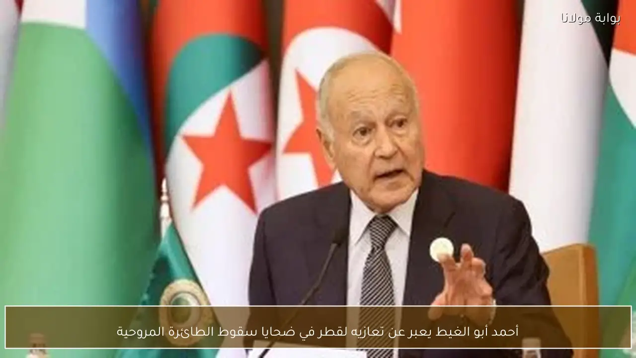 أحمد أبو الغيط يعبر عن تعازيه لقطر في ضحايا سقوط الطائرة المروحية