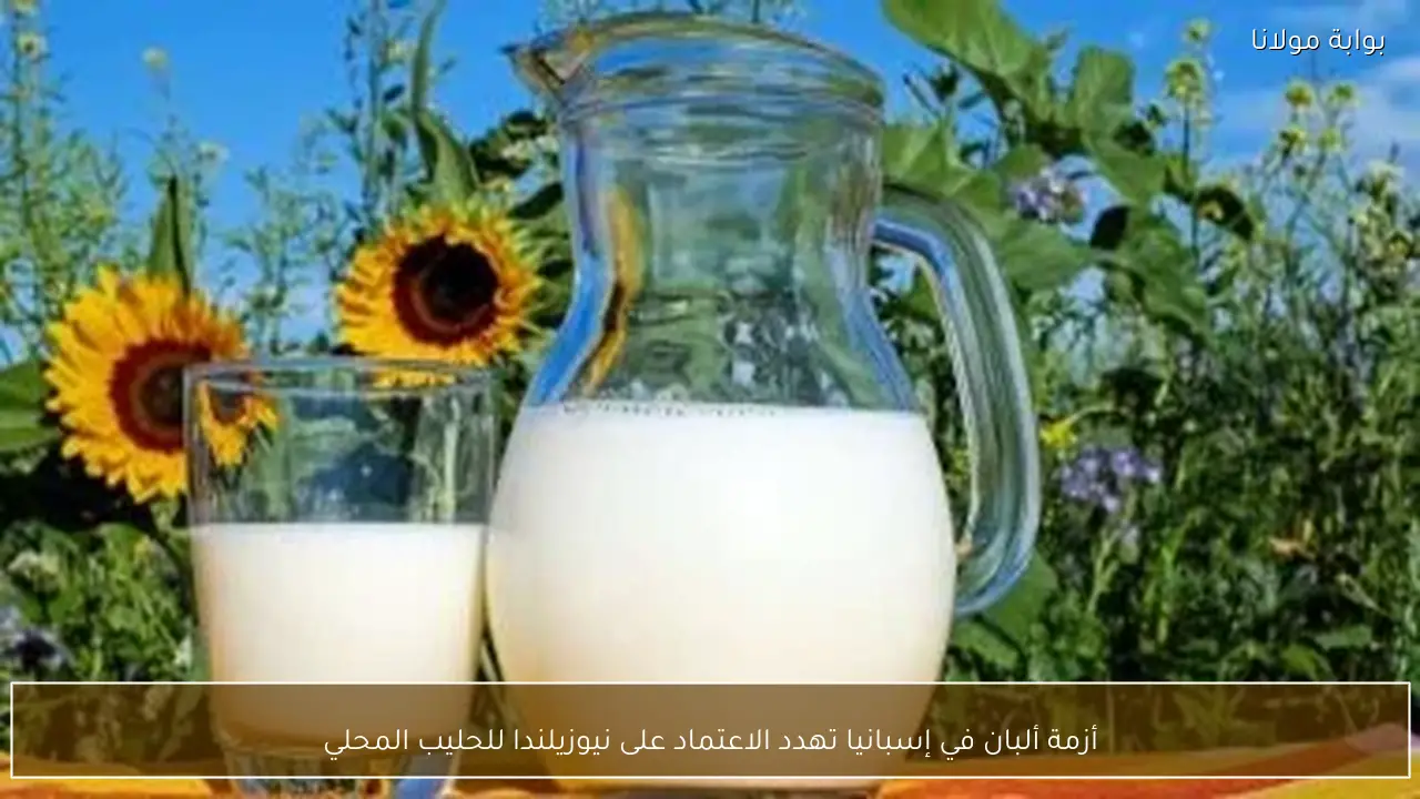 أزمة ألبان في إسبانيا تهدد الاعتماد على نيوزيلندا للحليب المحلي