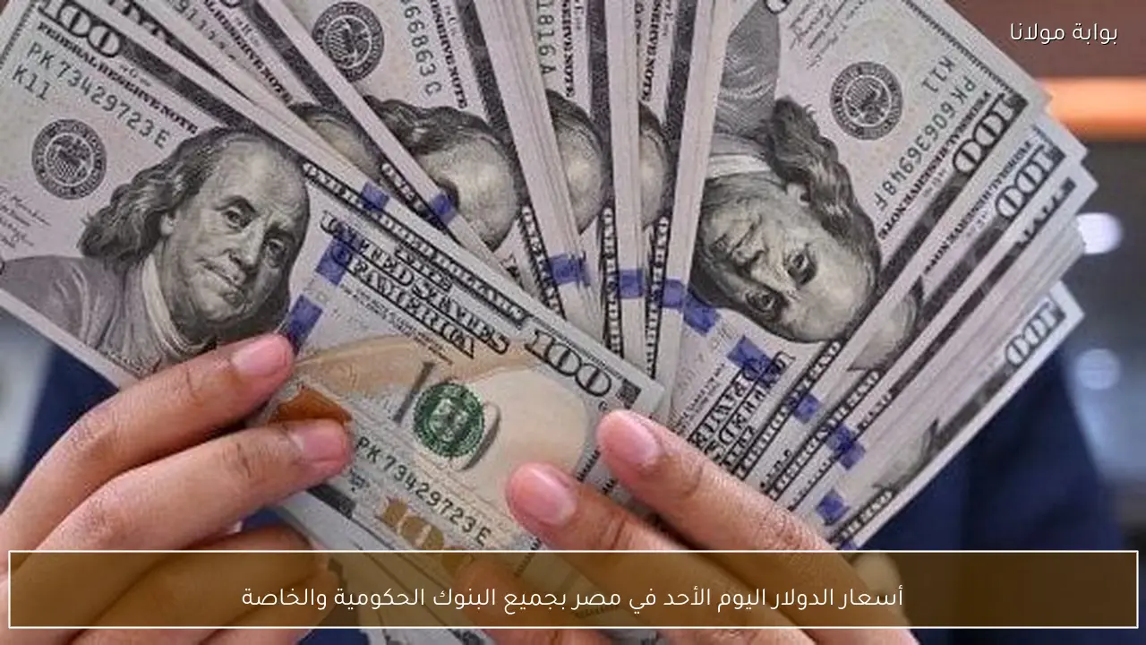 أسعار الدولار اليوم الأحد في مصر بجميع البنوك الحكومية والخاصة