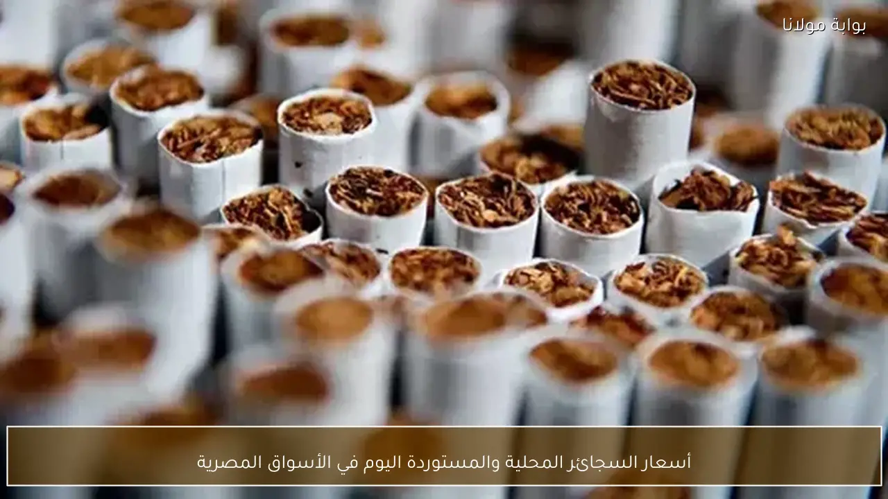 أسعار السجائر المحلية والمستوردة اليوم في الأسواق المصرية