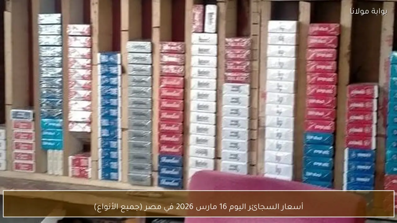أسعار السجائر اليوم 16 مارس 2026 في مصر (جميع الأنواع)