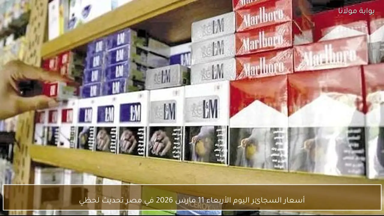 أسعار السجائر اليوم الأربعاء 11 مارس 2026 في مصر تحديث لحظي