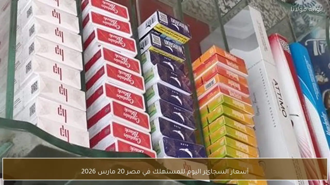 أسعار السجائر اليوم للمستهلك في مصر 20 مارس 2026