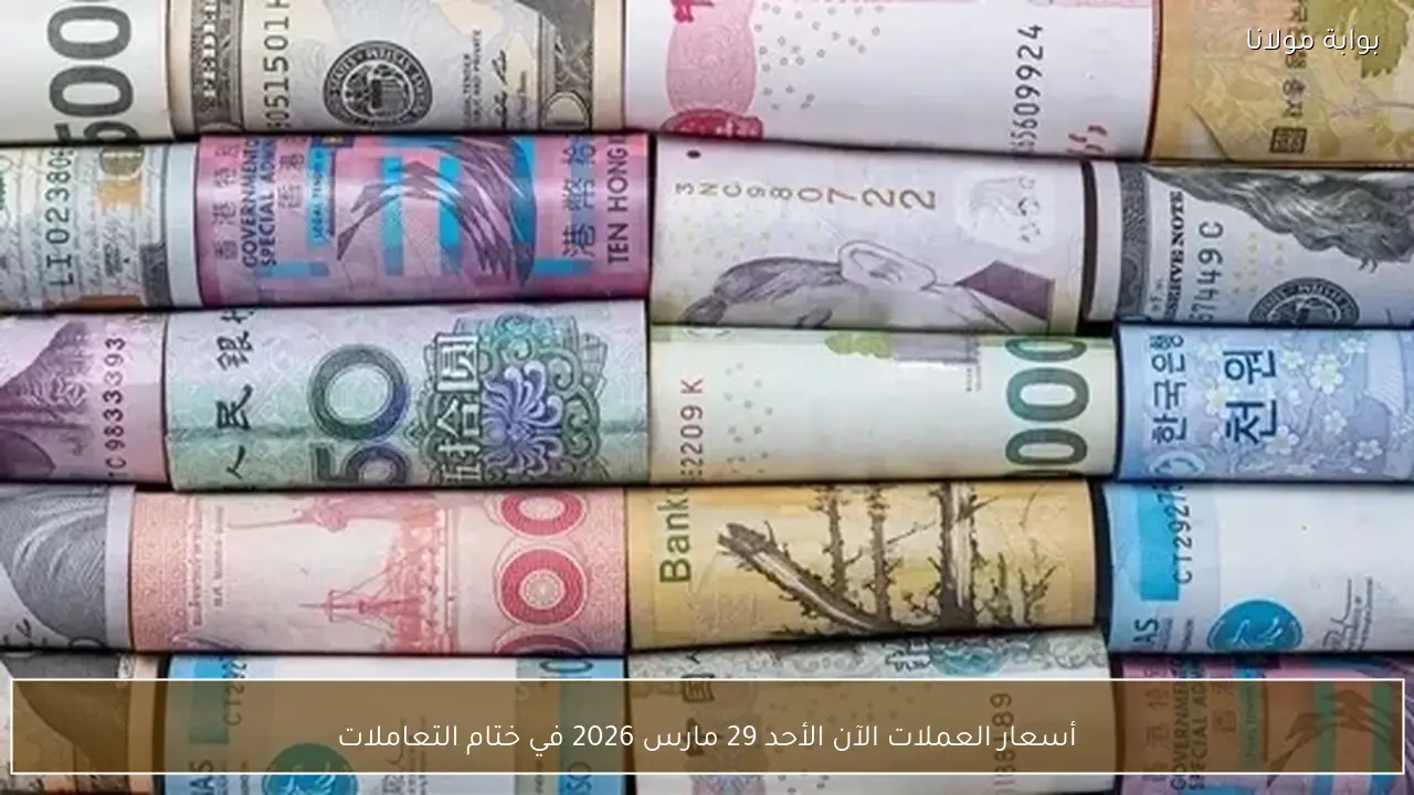 أسعار العملات الآن الأحد 29 مارس 2026 في ختام التعاملات