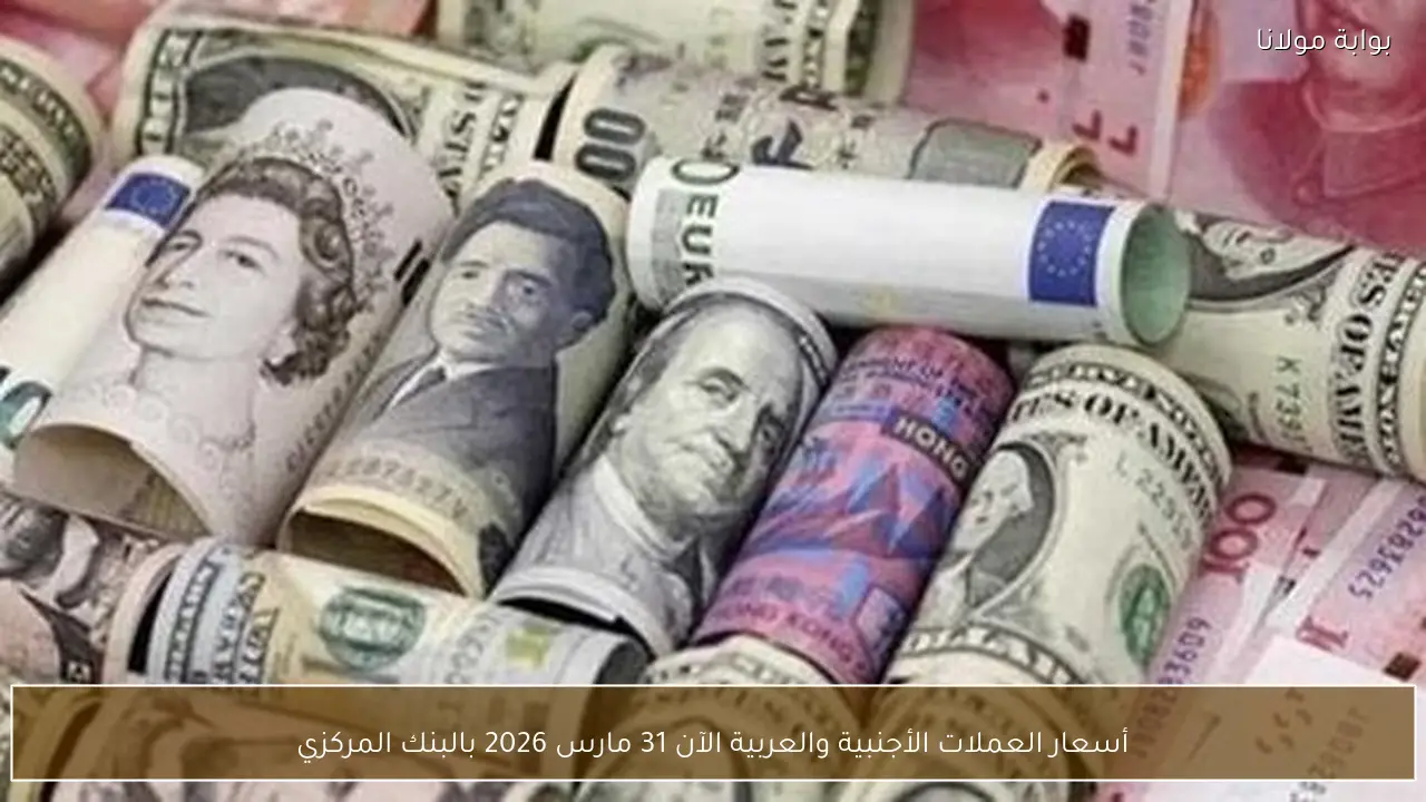 أسعار العملات الأجنبية والعربية الآن 31 مارس 2026 بالبنك المركزي