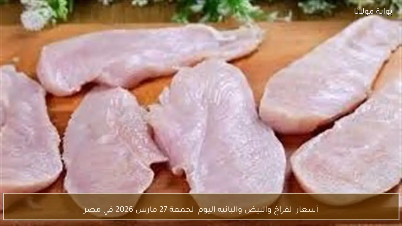 أسعار الفراخ والبيض والبانيه اليوم الجمعة 27 مارس 2026 في مصر