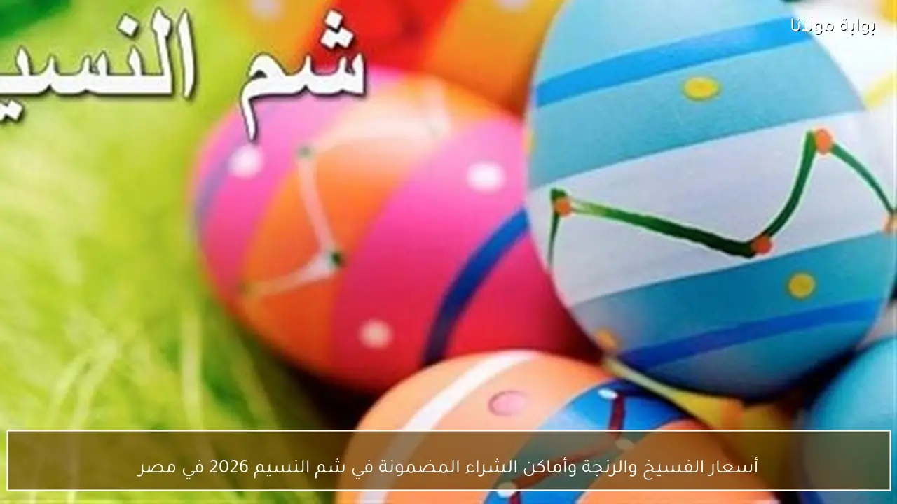 أسعار الفسيخ والرنجة وأماكن الشراء المضمونة في شم النسيم 2026 في مصر