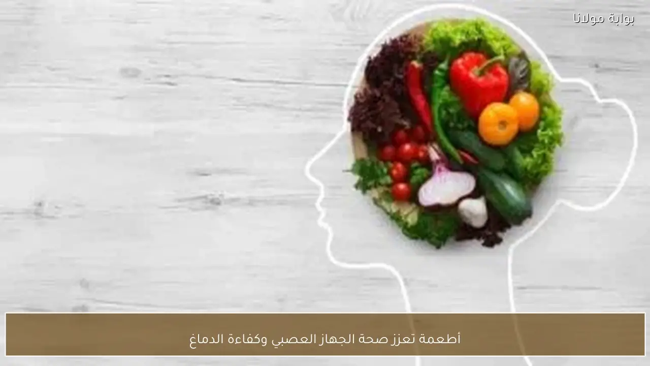 أطعمة تعزز صحة الجهاز العصبي وكفاءة الدماغ