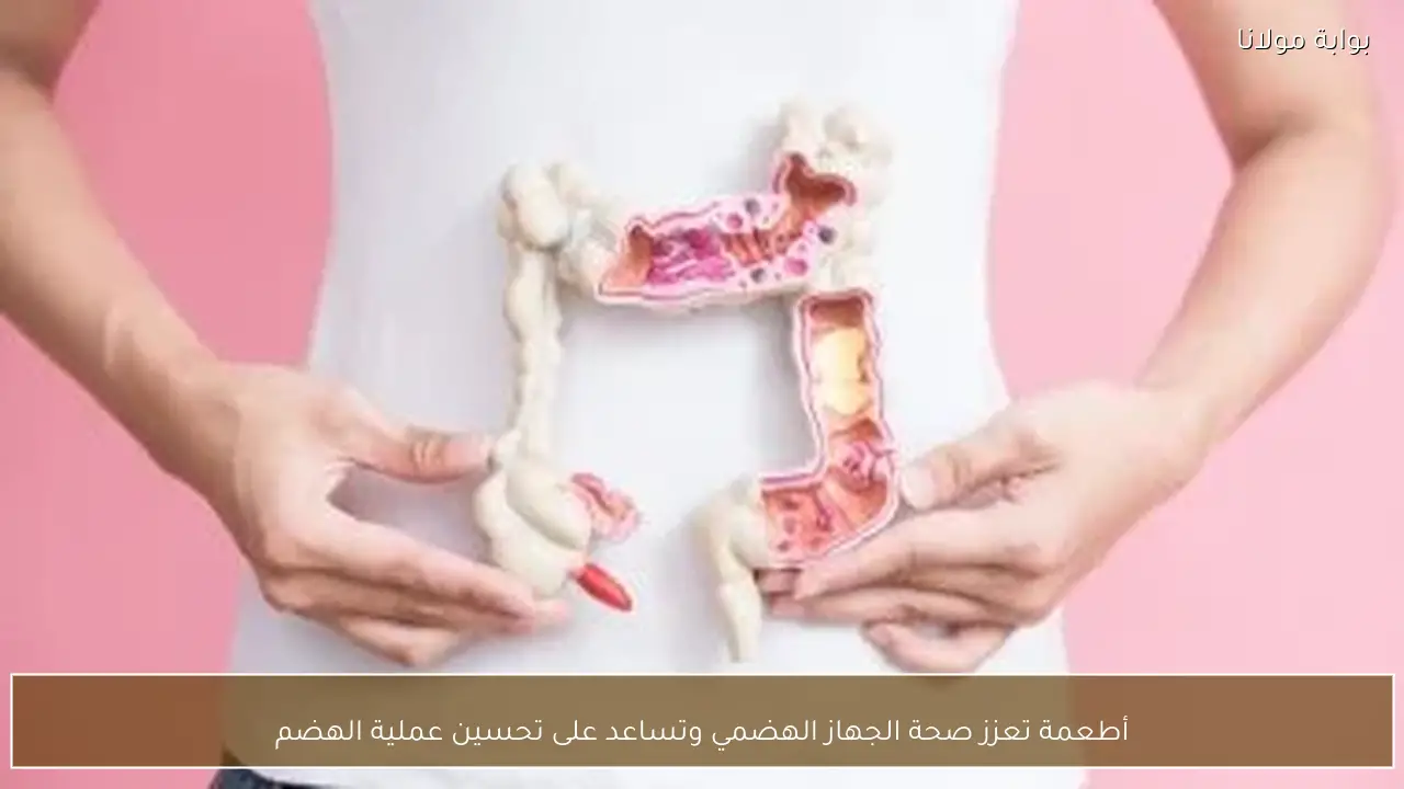 أطعمة تعزز صحة الجهاز الهضمي وتساعد على تحسين عملية الهضم