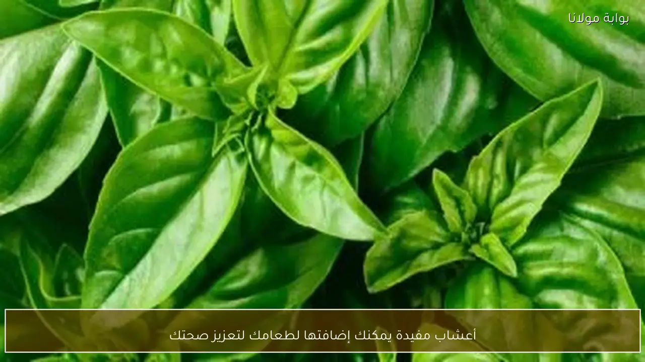 أعشاب مفيدة يمكنك إضافتها لطعامك لتعزيز صحتك