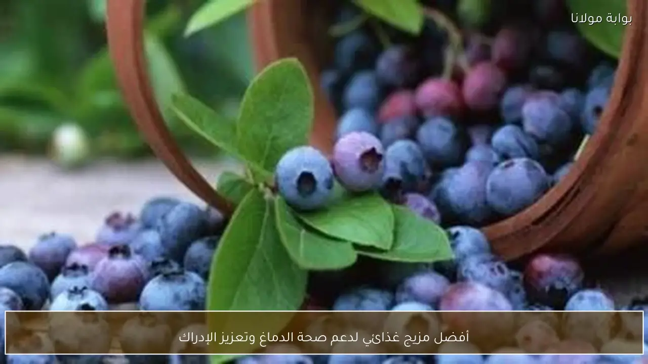 أفضل مزيج غذائي لدعم صحة الدماغ وتعزيز الإدراك