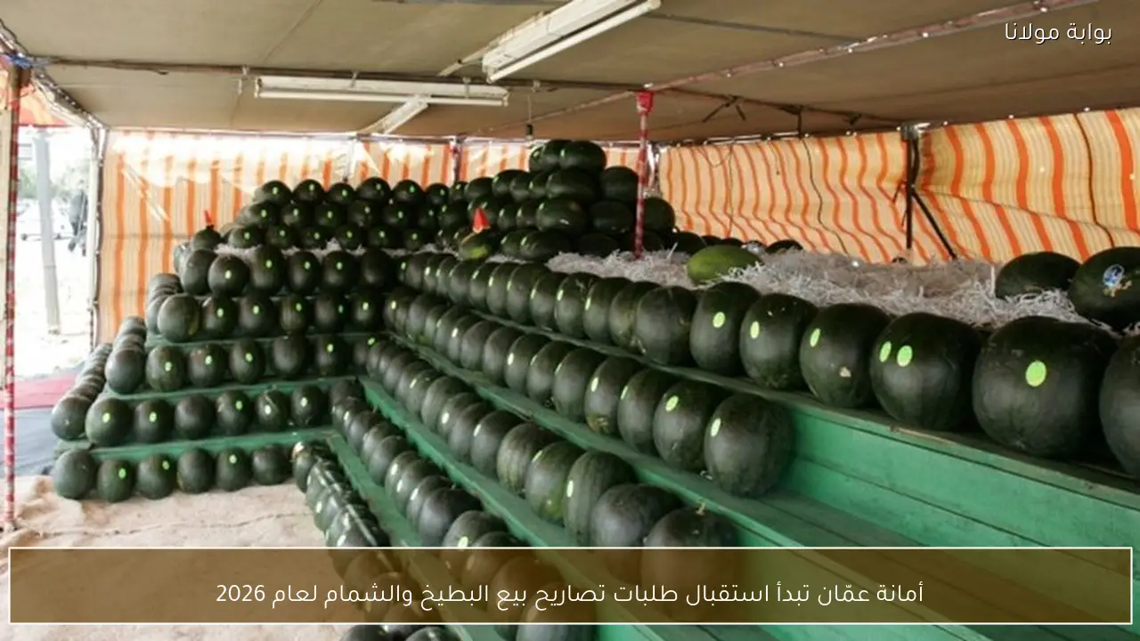 أمانة عمّان تبدأ استقبال طلبات تصاريح بيع البطيخ والشمام لعام 2026