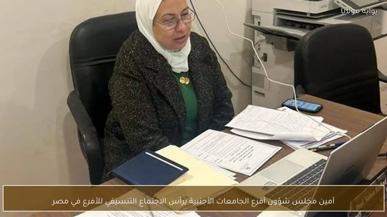 أمين مجلس شؤون أفرع الجامعات الأجنبية يرأس الاجتماع التنسيقي للأفرع في مصر