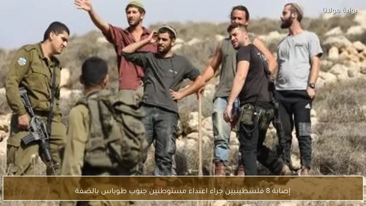 إصابة 8 فلسطينيين جراء اعتداء مستوطنين جنوب طوباس بالضفة