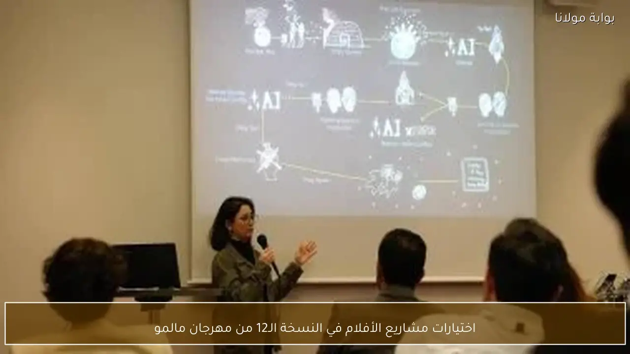 اختيارات مشاريع الأفلام في النسخة الـ12 من مهرجان مالمو