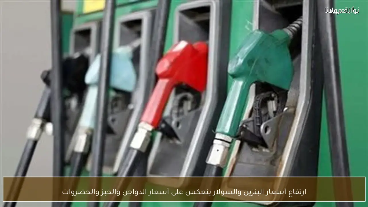 ارتفاع أسعار البنزين والسولار ينعكس على أسعار الدواجن والخبز والخضروات