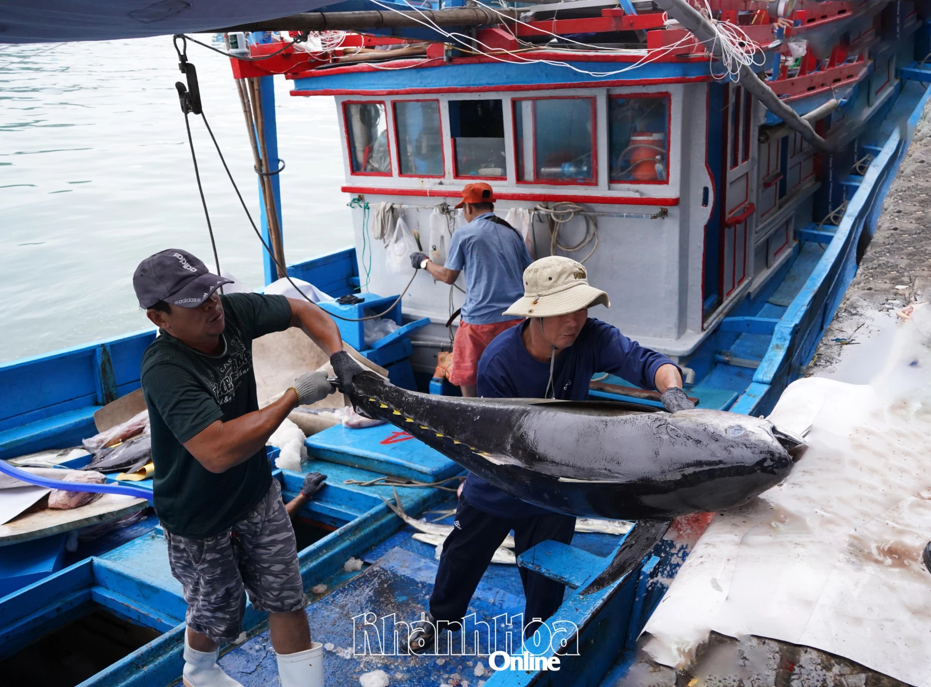 أدت أسعار الوقود المرتفعة إلى زيادة تكلفة الخروج إلى البحر بالنسبة للصيادين (في الصورة: قارب يحمل الأسماك عائدًا إلى ميناء هون رو للصيد، حي نام نها ترانج).