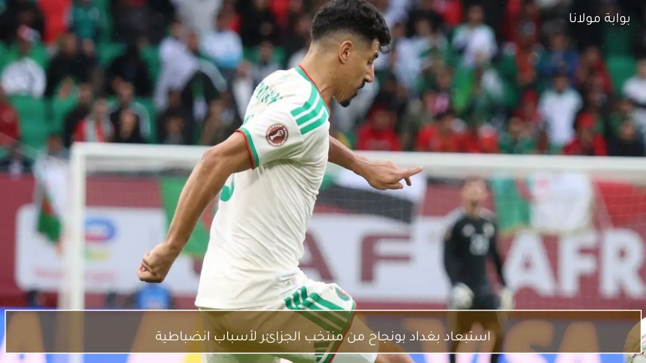 استبعاد بغداد بونجاح من منتخب الجزائر لأسباب انضباطية