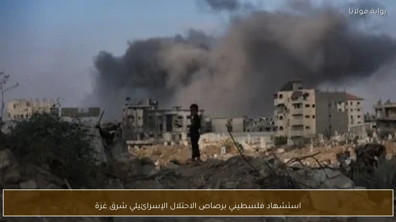 استشهاد فلسطيني برصاص الاحتلال الإسرائيلي شرق غزة