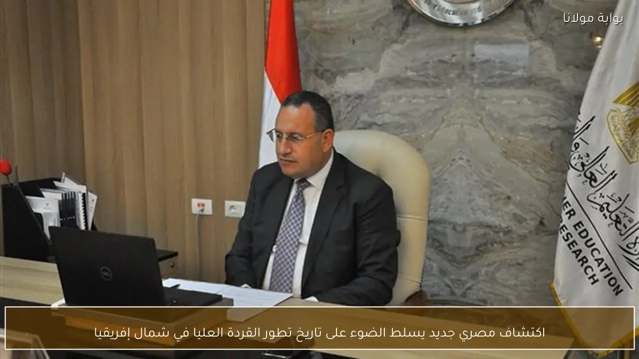 اكتشاف مصري جديد يسلط الضوء على تاريخ تطور القردة العليا في شمال إفريقيا