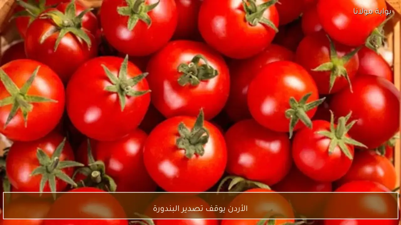 الأردن يوقف تصدير البندورة