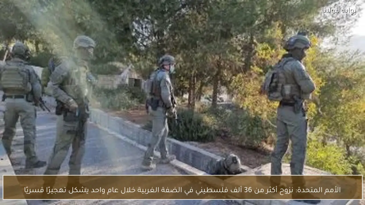 الأمم المتحدة: نزوح أكثر من 36 ألف فلسطيني في الضفة الغربية خلال عام واحد يشكل تهجيرًا قسريًا