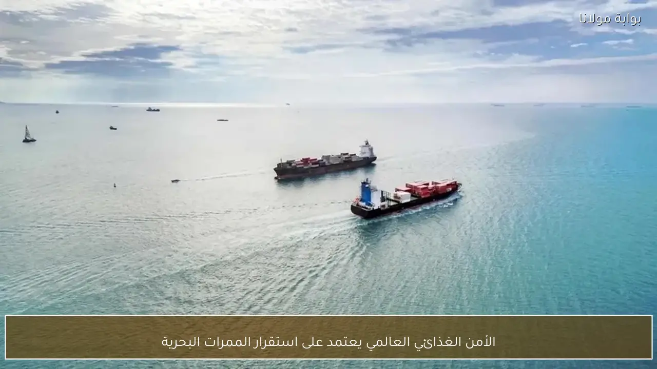 الأمن الغذائي العالمي يعتمد على استقرار الممرات البحرية