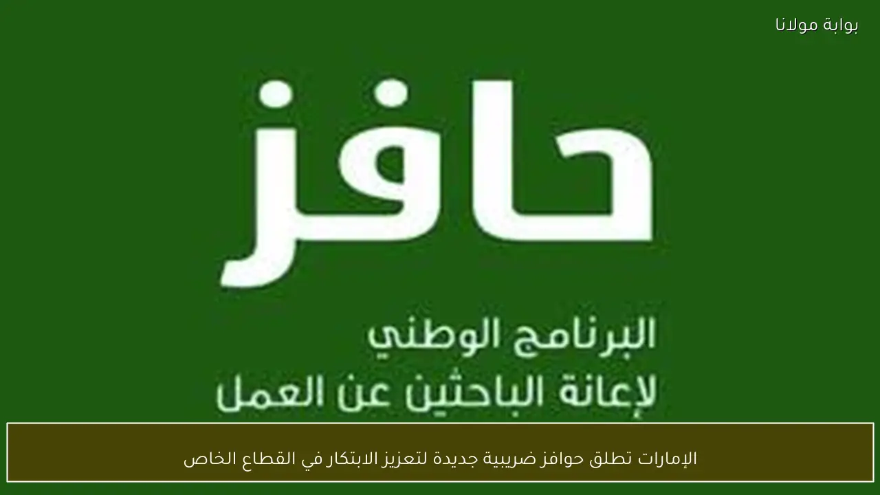 الإمارات تطلق حوافز ضريبية جديدة لتعزيز الابتكار في القطاع الخاص