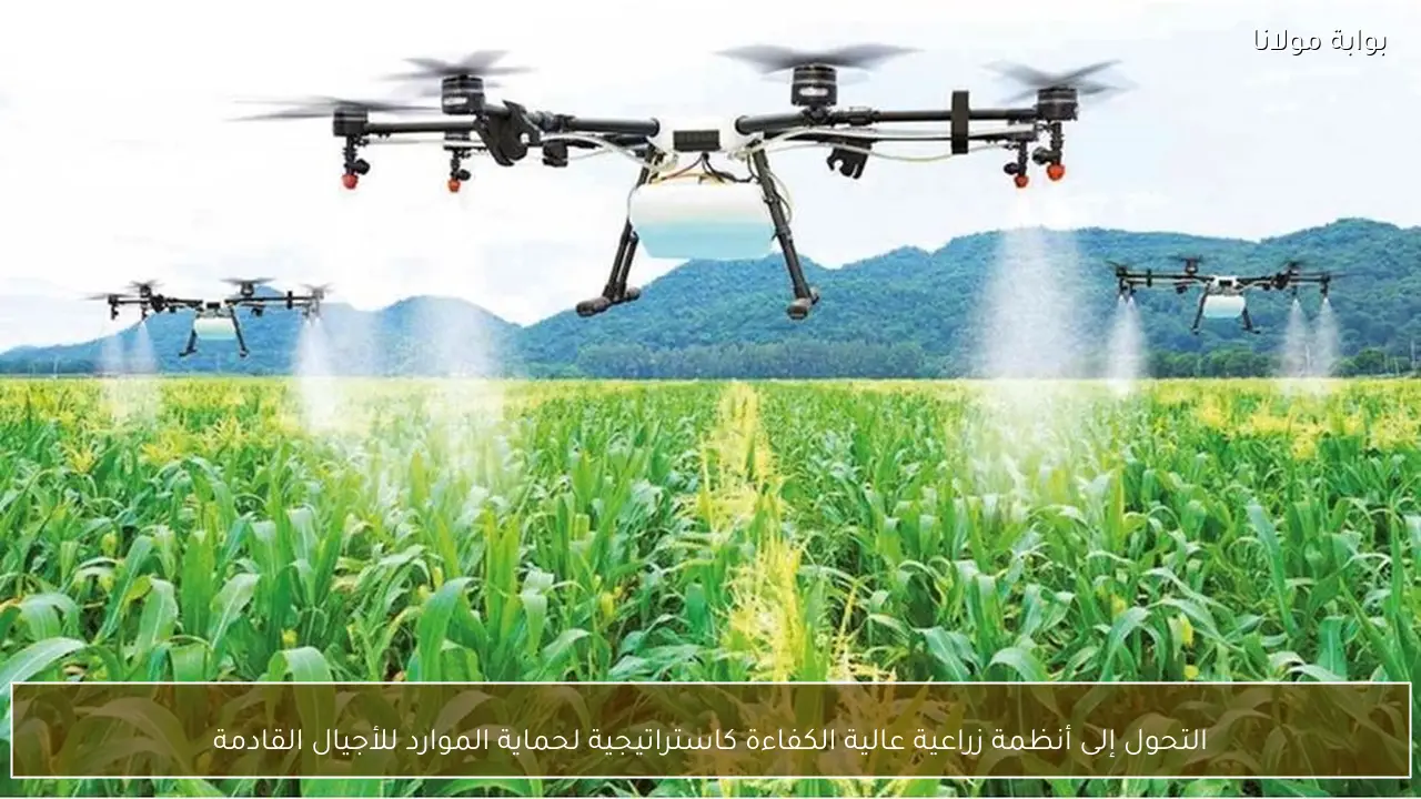 التحول إلى أنظمة زراعية عالية الكفاءة كاستراتيجية لحماية الموارد للأجيال القادمة