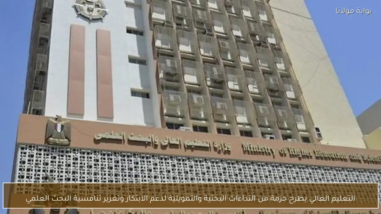 التعليم العالي يطرح حزمة من النداءات البحثية والتمويلية لدعم الابتكار وتعزيز تنافسية البحث العلمي