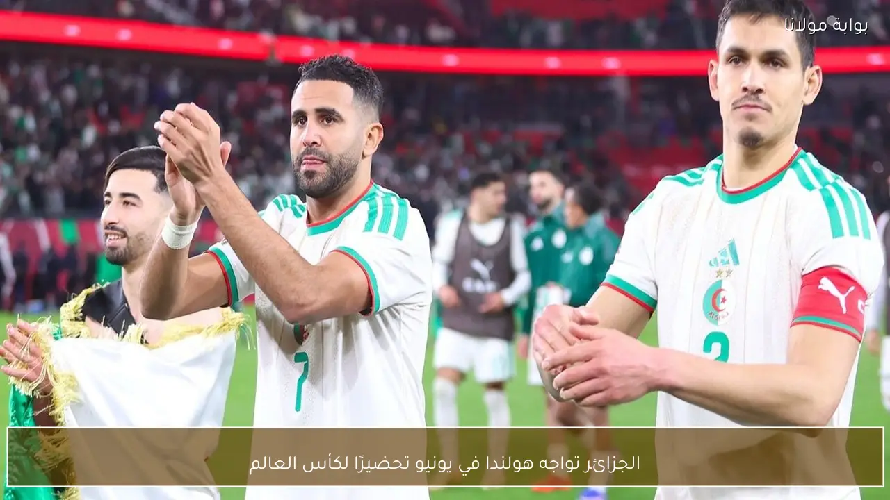 الجزائر تواجه هولندا في يونيو تحضيرًا لكأس العالم